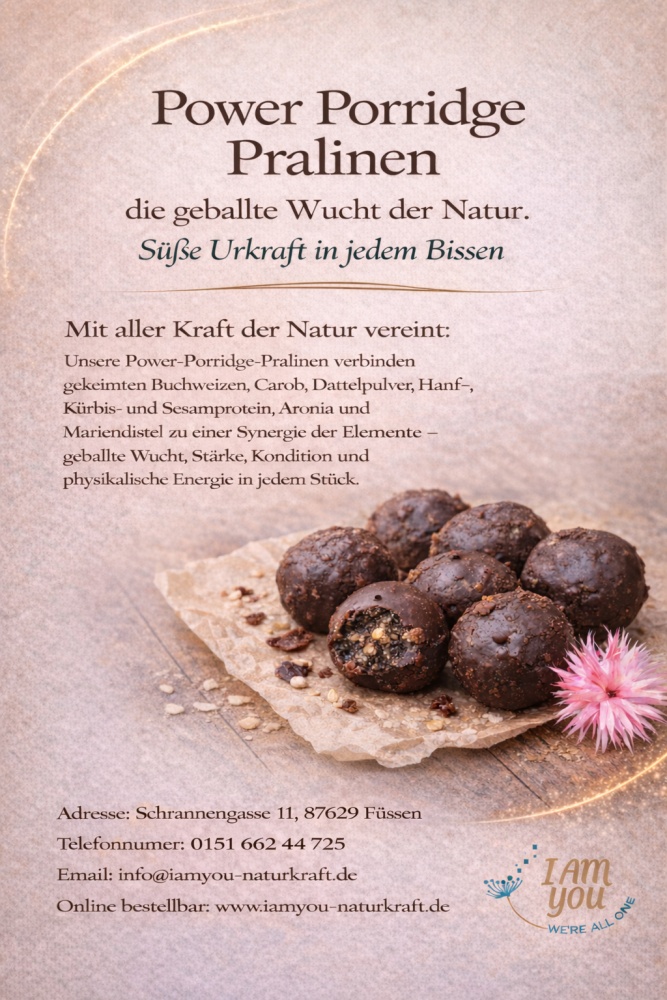 Power Porridge Pralinen